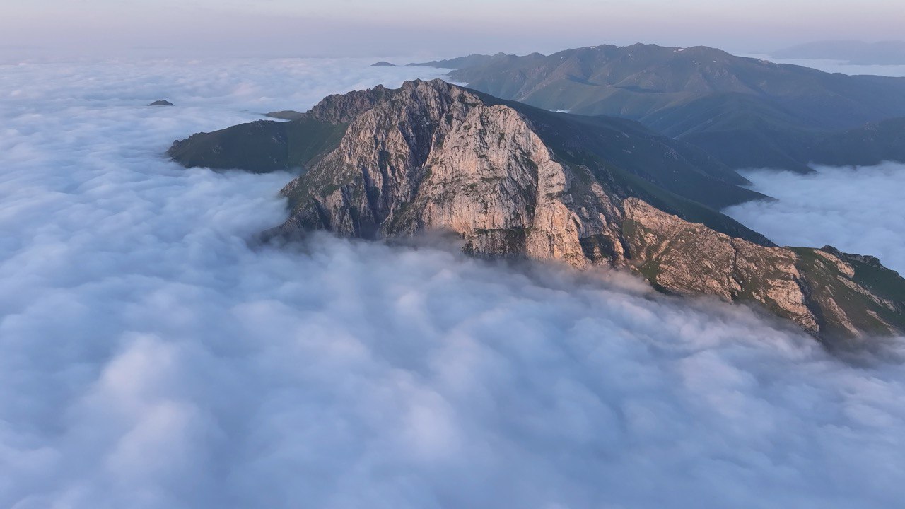 photo_5294390977756265654_y